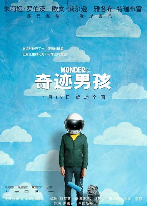 阿姆斯特丹自由大学市场营销文凭证书